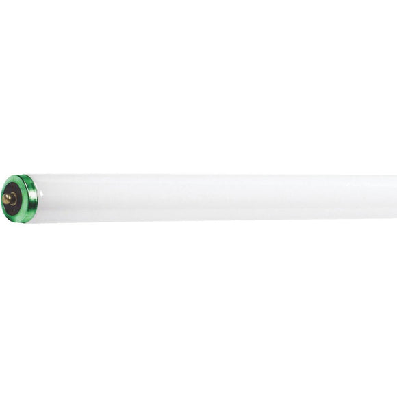 Philips 75W 96 In. Daylight T12 Single-Pin Fluorescent Light Bulb (15-Pack)