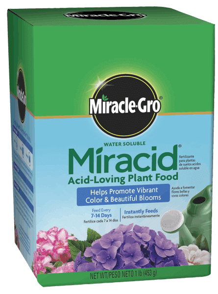 Miracle-Gro® Water Soluble Miracid® Acid-Loving Plant Food (1 lbs)